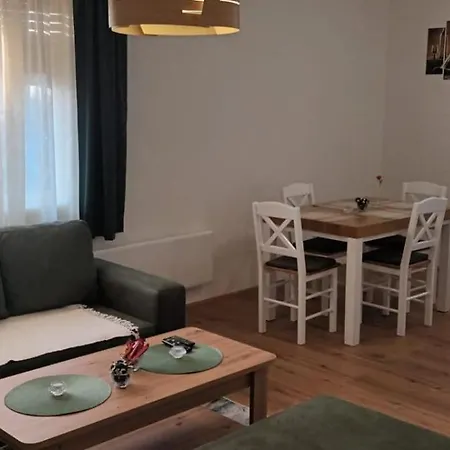 Nas Dom Oplenac Holiday home
